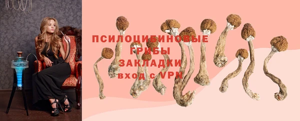 крисы Алексин