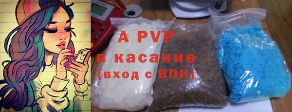 крисы Алексин