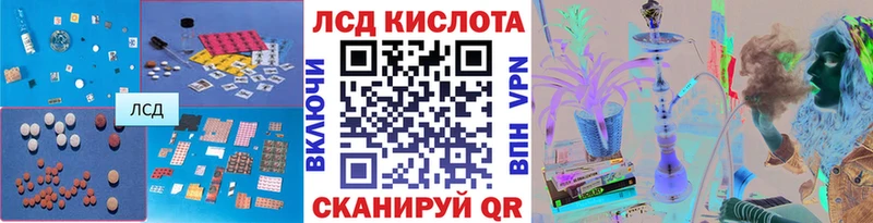 LSD-25 экстази кислота  хочу наркоту  Новая Ладога 