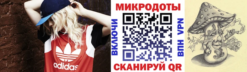 Псилоцибиновые грибы Psilocybine cubensis где найти Новая Ладога